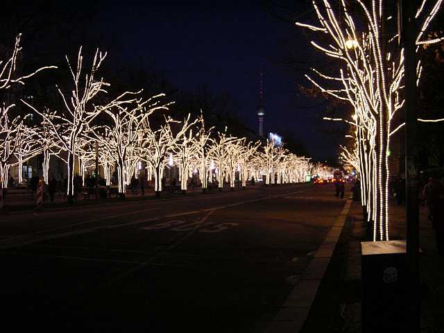 Picture 036.jpg